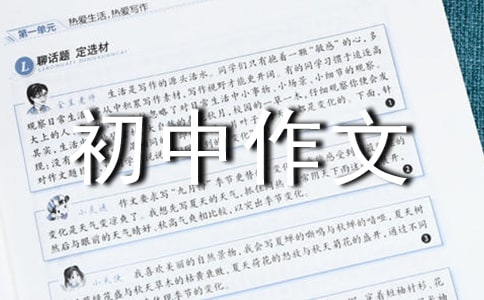 我希望我的房间是初中作文
