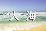梦见大海水流很急