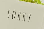 真诚的道歉