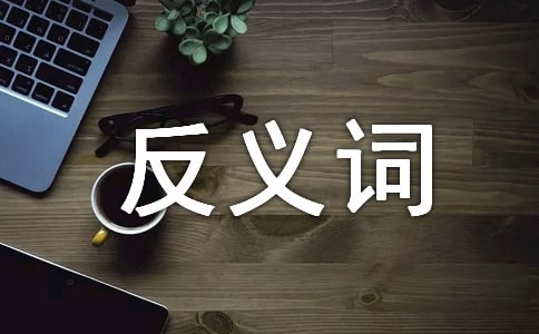 “好”的反义词是“坏”