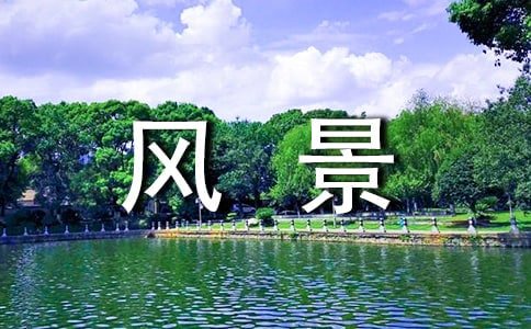 没有生活的风景其实是一味麻醉剂散文