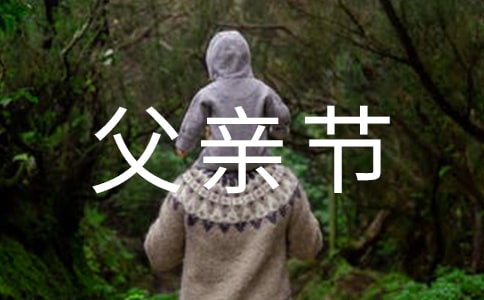 父亲节小学生活动方案