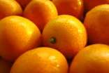 金桔怎么吃美味