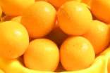 金桔怎样吃治疗咳嗽最佳