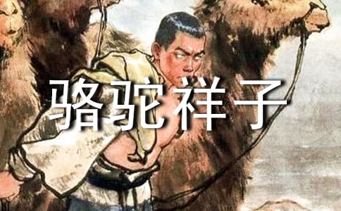 感悟生活——读《骆驼祥子》有感