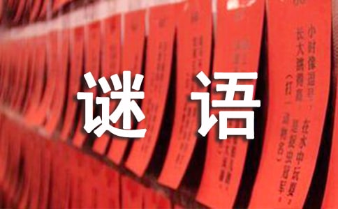 有关生活用品的谜语大全及答案