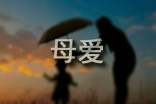 母爱的故事作文优秀9篇