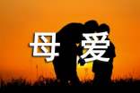母爱的故事作文通用（4篇）