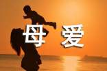 母爱的故事作文精华(4篇)