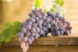 [优]葡萄干的营养价值