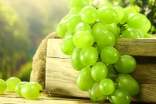 为你介绍葡萄的功效和作用 先一睹为快吧