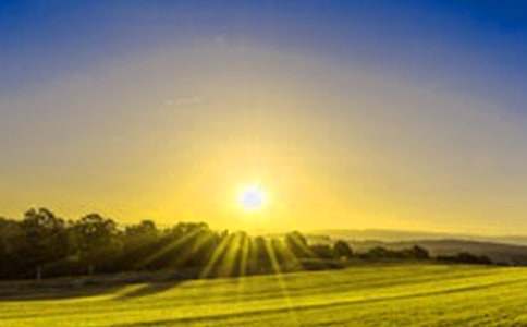 2日出生是什么星座