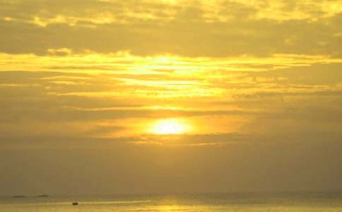 12月16日出生的是什么星座