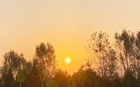 11月4日是什么星座女 11月4日出生性格