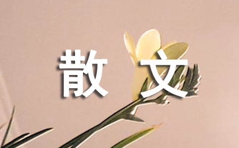 生活哲理散文大全