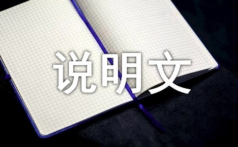 我的房间说明文作文