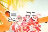 （优选）夏天的故事作文