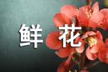 梦见鲜花枯萎（精品）