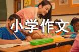 有关我的房间小学作文7篇