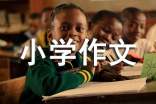 电器小学作文