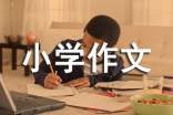 【实用】我的房间小学作文7篇