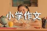 我的房间小学作文必备(6篇)