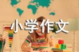 我的房间小学作文【优秀15篇】