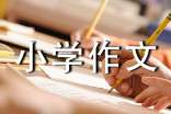 我的房间小学作文