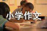 整理房间小学作文