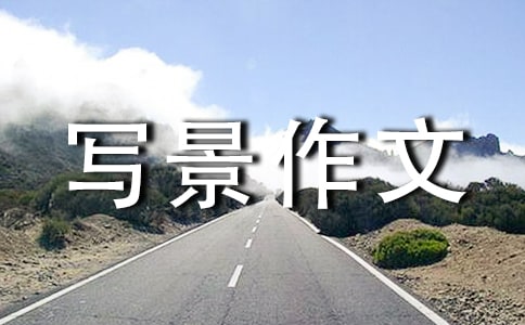 我的房间的写景作文450字
