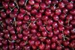 樱桃的功效与作用抗贫血祛风胜湿养颜驻容好处多