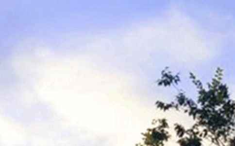 精选生活早安心语300句