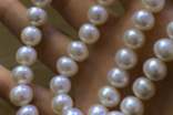 [集合]梦见珍珠