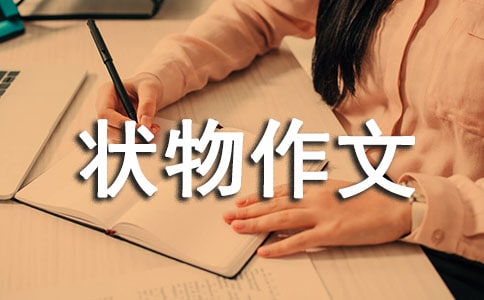 我的房间状物作文