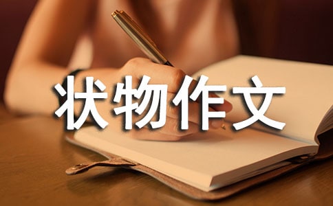 我的房间 - 优秀状物作文400字