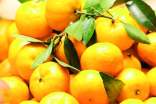 （精）孕妇可以吃橘子吗？
