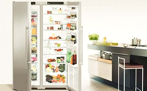 我家的“冰箱”作文