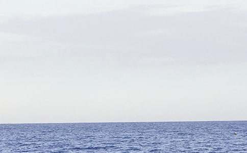 梦见旅游看大海