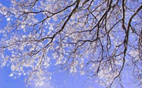 (必备)冬天的故事作文3篇