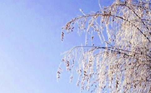 冬天早上好的说说正能量