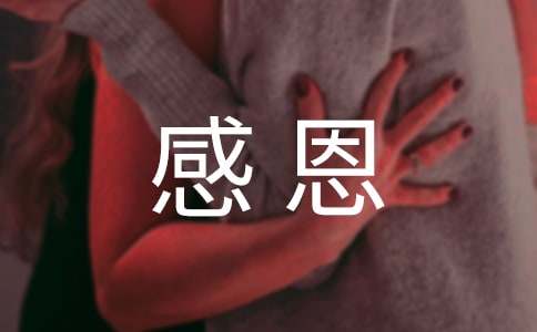 [经典]感恩故事作文4篇