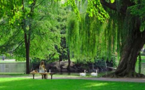 梦见在公园亲热