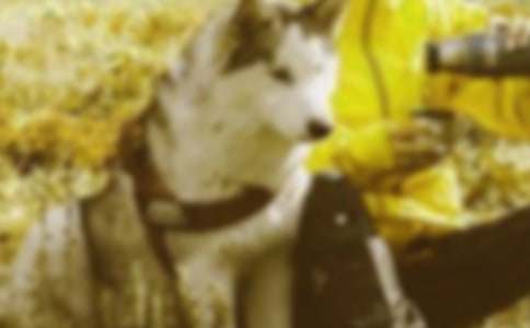 如何才能让大宝二宝和谐相处