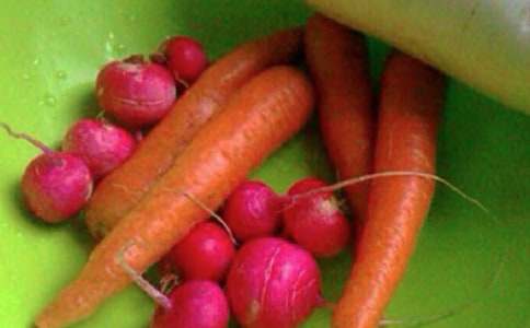 国旗下讲话-开展爱国卫生享有健康生活