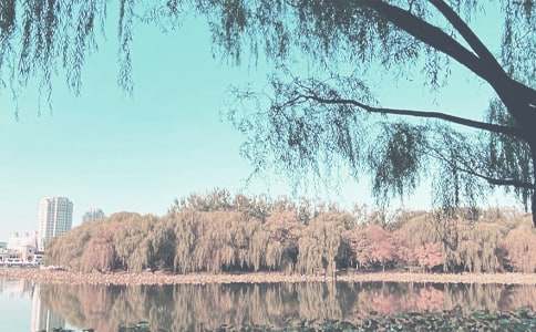 天气反复无常谨防小儿秋季腹泻