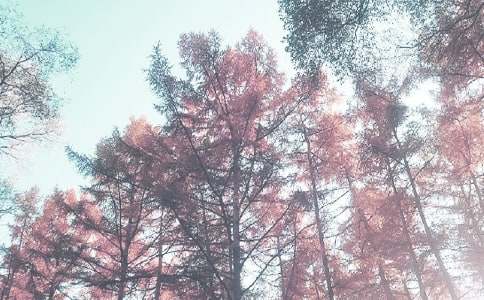 秋季孕期身体乏力的原因及应对方法