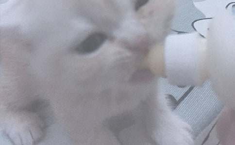 喂奶涨奶有硬块难受不已 试试这个方法吧