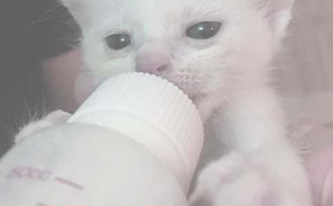 出门逛街怎样喂奶