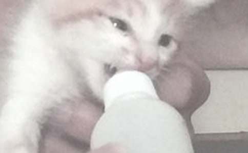 你要注意喂奶姿势