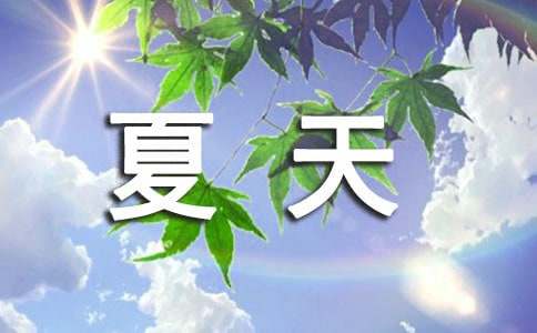 夏天的故事作文集锦[4篇]